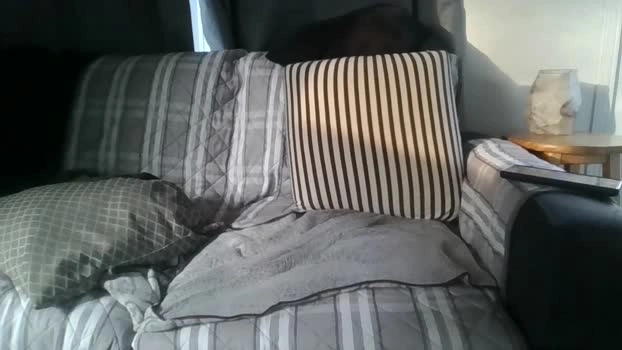 quebecinc1 Live 29-06-2026 Gay Cam lush hard