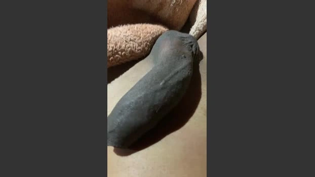 Chocolatt69 Live 01-07-2026 Gay Cam kink suckshow