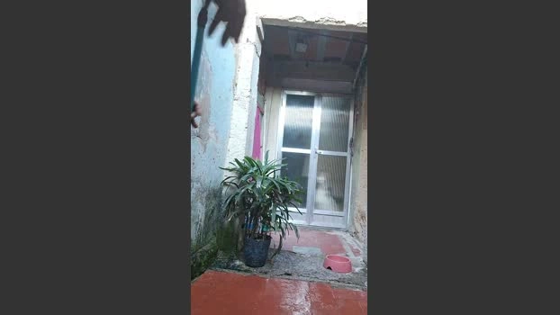 RealCriadoRio Live 02-07-2026 Gay Cam sexyfeet kissing