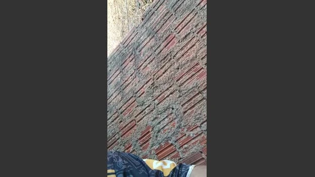 Nfsexy Live 02-07-2026 Gay Cam kiss sexykitty