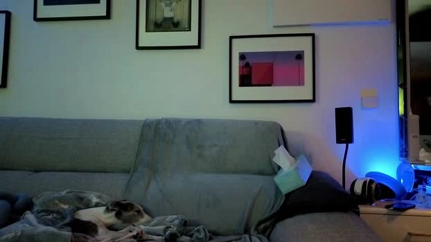 HuGo4K Live 05-07-2026 Gay Cam wank nude