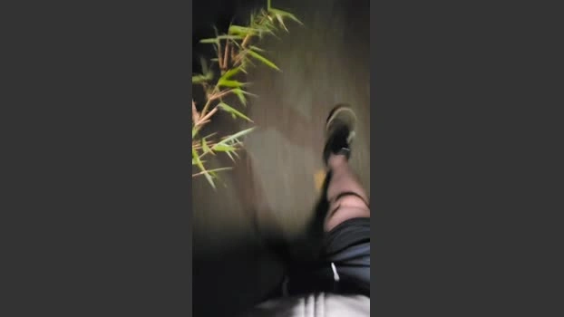 tomsauwer Live 05-07-2026 Gay Cam striptease big