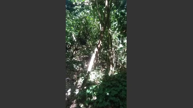 slipfun_sexy Live 11-07-2026 Gay Cam sexybody prettyface