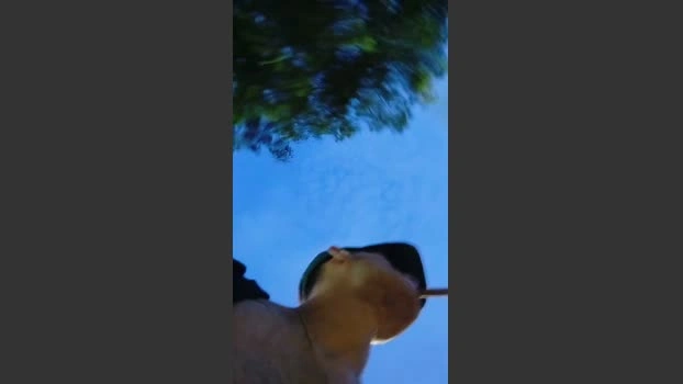 Sexylatinogay Live 13-07-2026 Gay Cam skinny suckshow