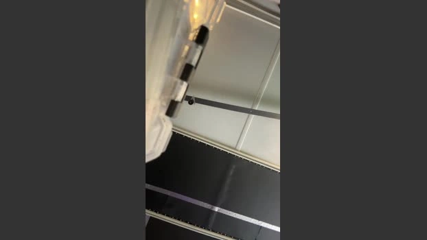 Greatwhitemoby Live 15-07-2026 Gay Cam sweet suckshow