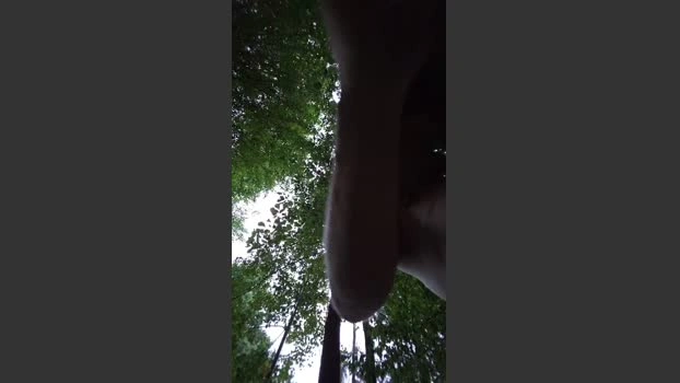 ExhibGay1980CH Live 15-07-2026 Gay Cam amateur fuckher