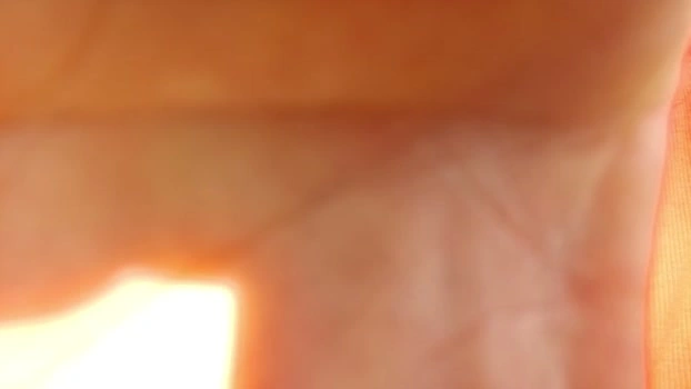 007_Germany Live 17-07-2026 Gay Cam ass Topless