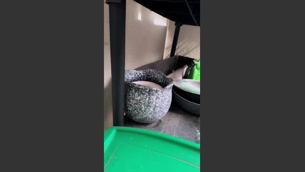 Liam_sexy27 Live 17-07-2026 Gay Cam fuck hardcore