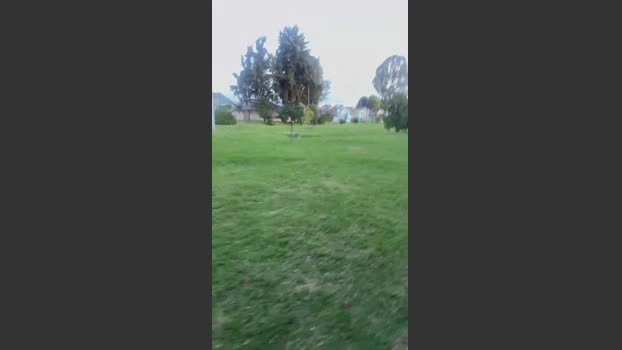 TheoVega Live 17-07-2026 Gay Cam toy fuckass