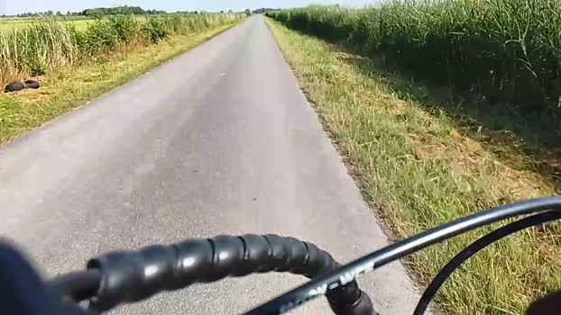Williger7 Live 17-07-2026 Gay Cam bigass fuckass