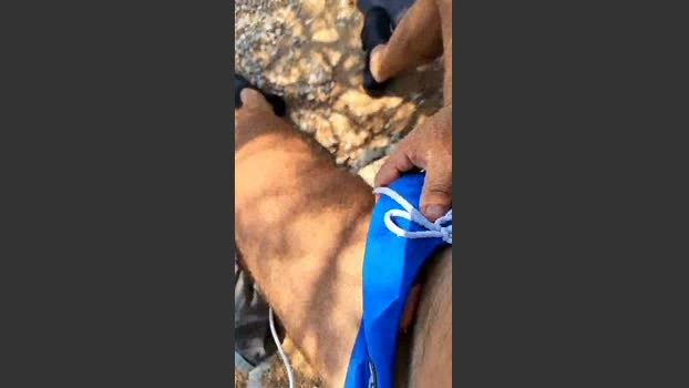 andreas_ath Live 19-07-2026 Gay Cam sweet toy