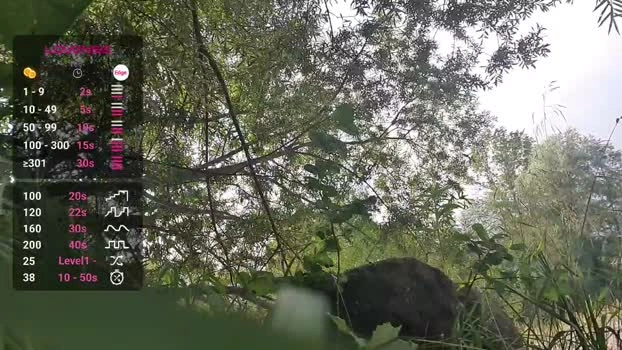 Pegyourdaddy Live 19-07-2026 Gay Cam fuckhard fuck