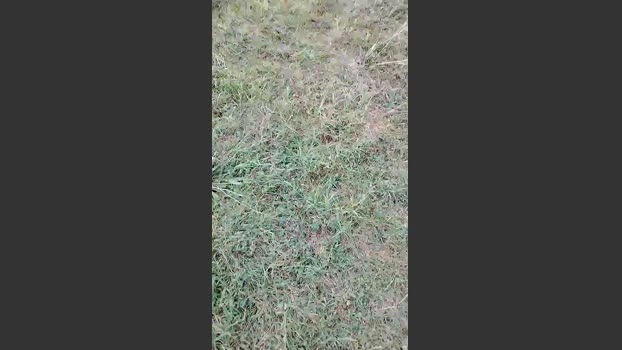slipfun_sexy Live 19-07-2026 Gay Cam fuckface Webcam