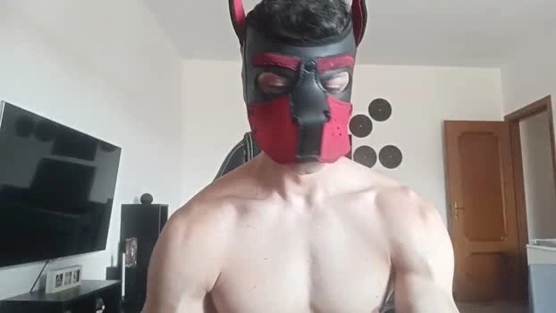 Frabroker Live 22-07-2026 Gay Cam blowjob suckcock