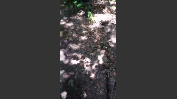 saarman33 Live 23-07-2026 Gay Cam bigdick Cam