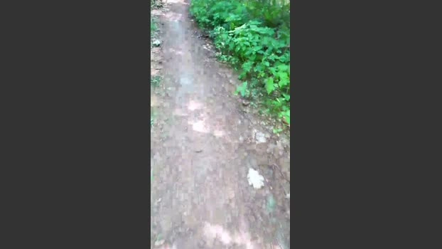 saarman33 Live 23-07-2026 Gay Cam gag jerkoff