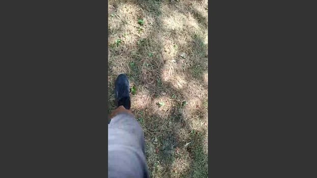 Bibo36cho Live 24-07-2026 Gay Cam striptease legs