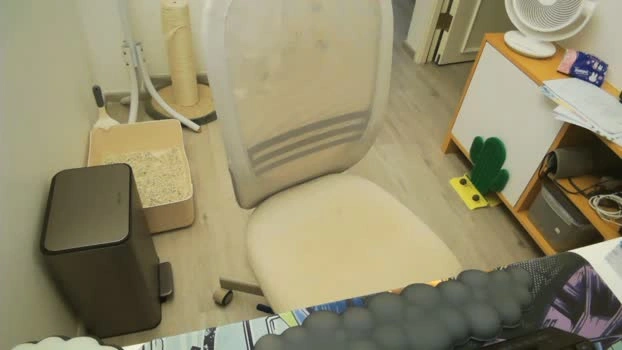 lazybird8899 Live 26-07-2026 Gay Cam moan orgasm